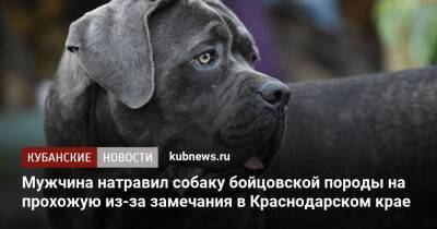 Мужчина натравил собаку бойцовской породы на прохожую из-за замечания в Краснодарском крае