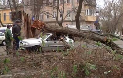 Прячьте авто и обходите деревья: по всей Украине объявлено экстренное штормовое предупреждение