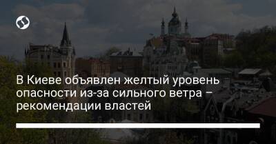 В Киеве объявлен желтый уровень опасности из-за сильного ветра – рекомендации властей