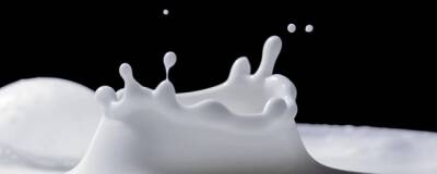 В Башкирии выявлены нарушения на комбинате по изготовлению молочных продуктов