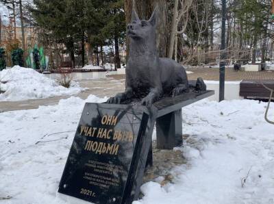 Памятник бездомным животным открыли в Долинске - sakhalin.info - Долинск