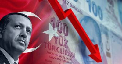 К чему приводит рискованная стратегия президента: пример краха турецкой лиры