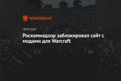 Роскомнадзор заблокировал сайт с модами для Warcraft