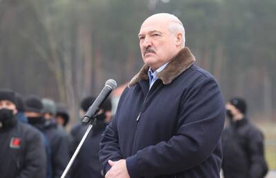 «Если бы все президенты в Европе были похожи на вас». Беженцы пообщались с Лукашенко и поблагодарили за поддержку