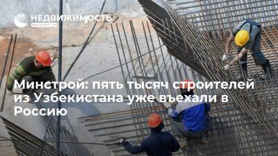 Минстрой: пять тысяч строителей из Узбекистана уже въехали в Россию