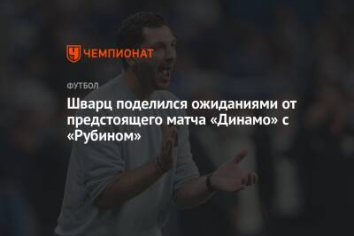 Шварц поделился ожиданиями от предстоящего матча «Динамо» с «Рубином»