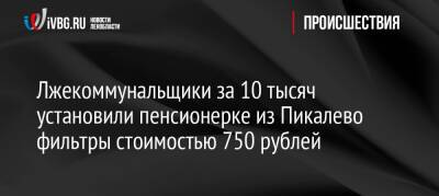 Лжекоммунальщики за 10 тысяч установили пенсионерке из Пикалево фильтры стоимостью 750 рублей