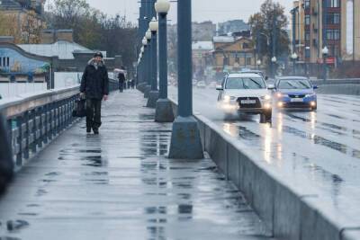 Мокрый снег прогнозируют в Псковской области 27 ноября