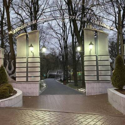 В Чеховском городском парке до конца декабря установят карусель
