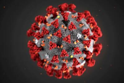 Имеет 32 мутации и устойчив к вакцинам: в чем опасность нового штамма коронавируса из Африки