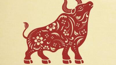 Китайский гороскоп на декабрь: Бык