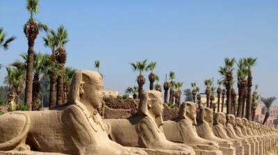 В Египте открыли крупнейший музей под открытым небом в мире