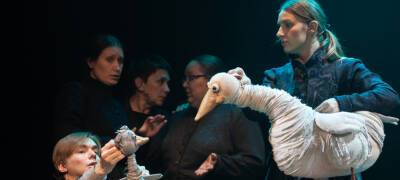 Театр кукол Карелии представил зрителям новую постановку – «Гадкий утенок»