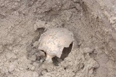 Древнее захоронение людей обнаружено в Тернопольской области