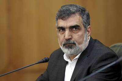 Бехруз Камальванди - Иран заявил, что не пустит наблюдателей в Кередж, поскольку там нет ядерных материалов - trend.az - Иран