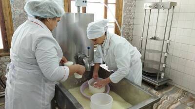 В Давлекановском районе наладили производство эко-сыров под брендом «Баба Яга»