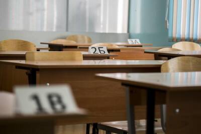 В Новосибирске пятиклассник напал с ножницами на учителя и школьников