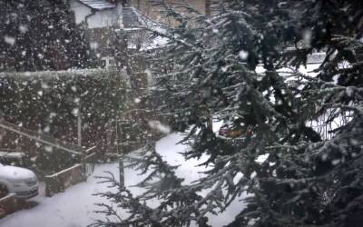 Заметет всю Украину: синоптики назвали дату сильных снегопадов - до конца ноября, когда зима