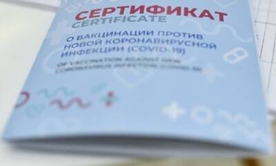 Американские бизнесмены просят признать российские сертификаты вакцинации