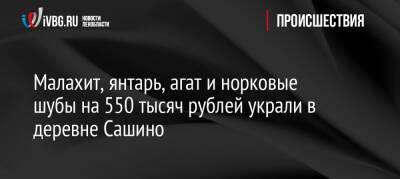 Малахит, янтарь, агат и норковые шубы на 550 тысяч рублей украли в деревне Сашино