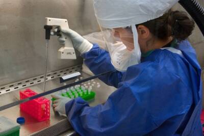 Вирусолог допустил создание вакцины из-за нового штамма коронавируса