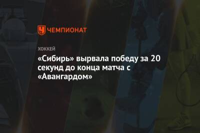 «Сибирь» вырвала победу за 20 секунд до конца матча с «Авангардом»