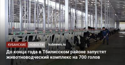 До конца года в Тбилисском районе запустят животноводческий комплекс на 700 голов