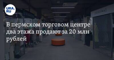В пермском торговом центре два этажа продают за 20 млн рублей