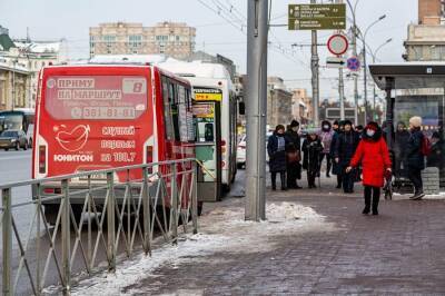 В Новосибирске установят 25 жестяных остановок вопреки запрету мэра Анатолия Локтя