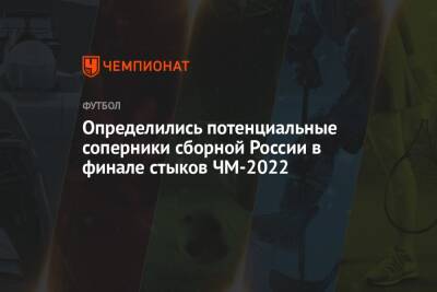 Определились потенциальные соперники сборной России в финале стыков ЧМ-2022