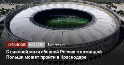 Стыковой матч сборной России с командой Польши может пройти в Краснодаре