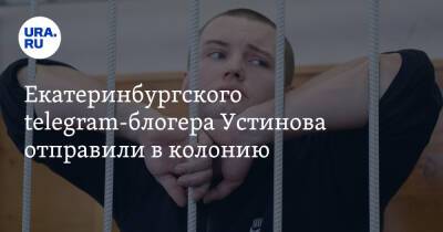 Екатеринбургского telegram-блогера Устинова отправили в колонию