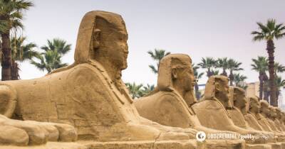 В Египте открыли древнюю Аллею сфинксов - фото и видео