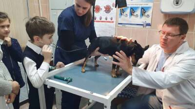 Фото: собака по кличке Мышка стала пациентом юных ветеринаров в Шлиссельбурге
