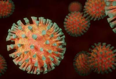 ВОЗ назвала новый штамм коронавируса из ЮАР греческой буквой Омикрон
