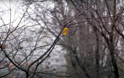 Украину зальет холодными дождями, а потом будет тепло: синоптик Диденко предупредила о погоде на выходных