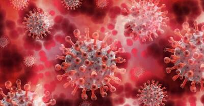 ВОЗ назвала новый штамм коронавируса греческой буквой омикрон