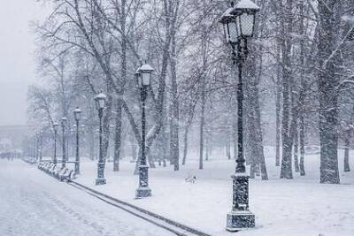 Россиянам предсказали этой зимой частые оттепели и суровые морозы