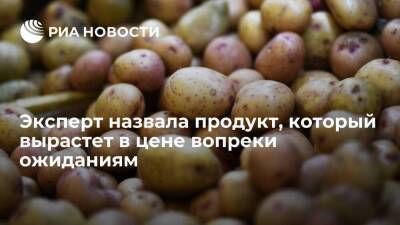 Эксперт Строгая: цена на картофель вырастет из-за плохого урожая