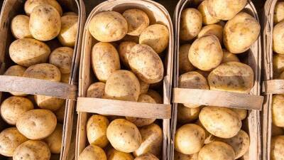 Эксперт перечислила причины подорожания картофеля - vm.ru - Россия