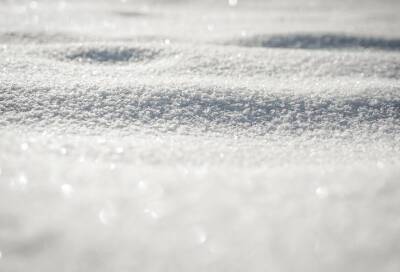 Утро субботы встретит жителей Ленобласти небольшим снегом