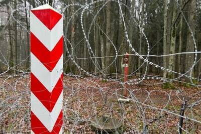 Границу Польши снова штурмовали почти две сотни нелегалов