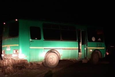 На трассе под Волгоградом автобус насмерть сбил 71-летнюю пенсионерку