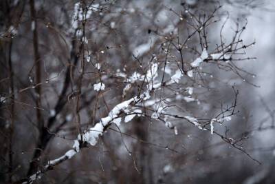 О сильных снегопадах в Петербурге предупредил синоптик