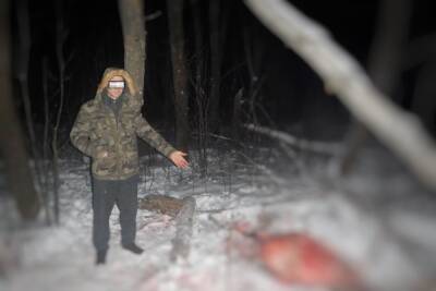В Оренбургской области начали активно отстреливать лосей