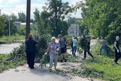 Летний ураган в Великих Луках повалил более 3,5 тысяч деревьев