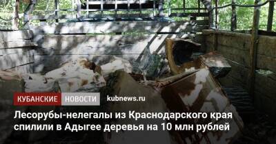 Лесорубы-нелегалы из Краснодарского края спилили в Адыгее деревья на 10 млн рублей