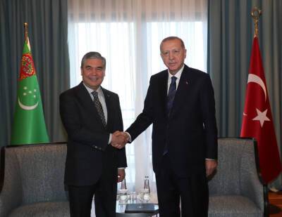 Президент Турции посетит Туркменистан с госвизитом, а также примет участие в ОЭС