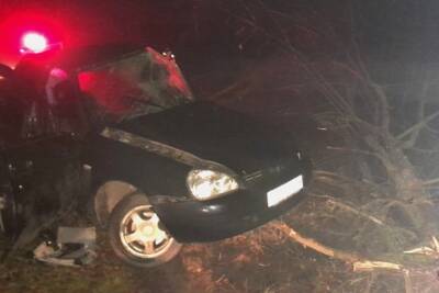 В Волгоградской области погиб влетевший в дерево водитель легковушки