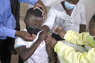 Эксперт: «Африканский» штамм может быть одним из самых заразных патогенов